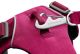 Ruffwear Front Range Harness, kolor: Hibiscus Pink